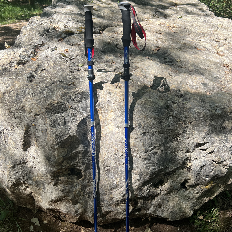 Test des bâtons de marche TrekAll : notre avis après 2 mois d'utilisation sur sentiers, montagne et forêt